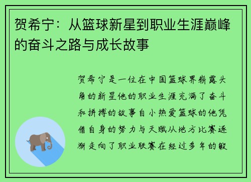 贺希宁：从篮球新星到职业生涯巅峰的奋斗之路与成长故事